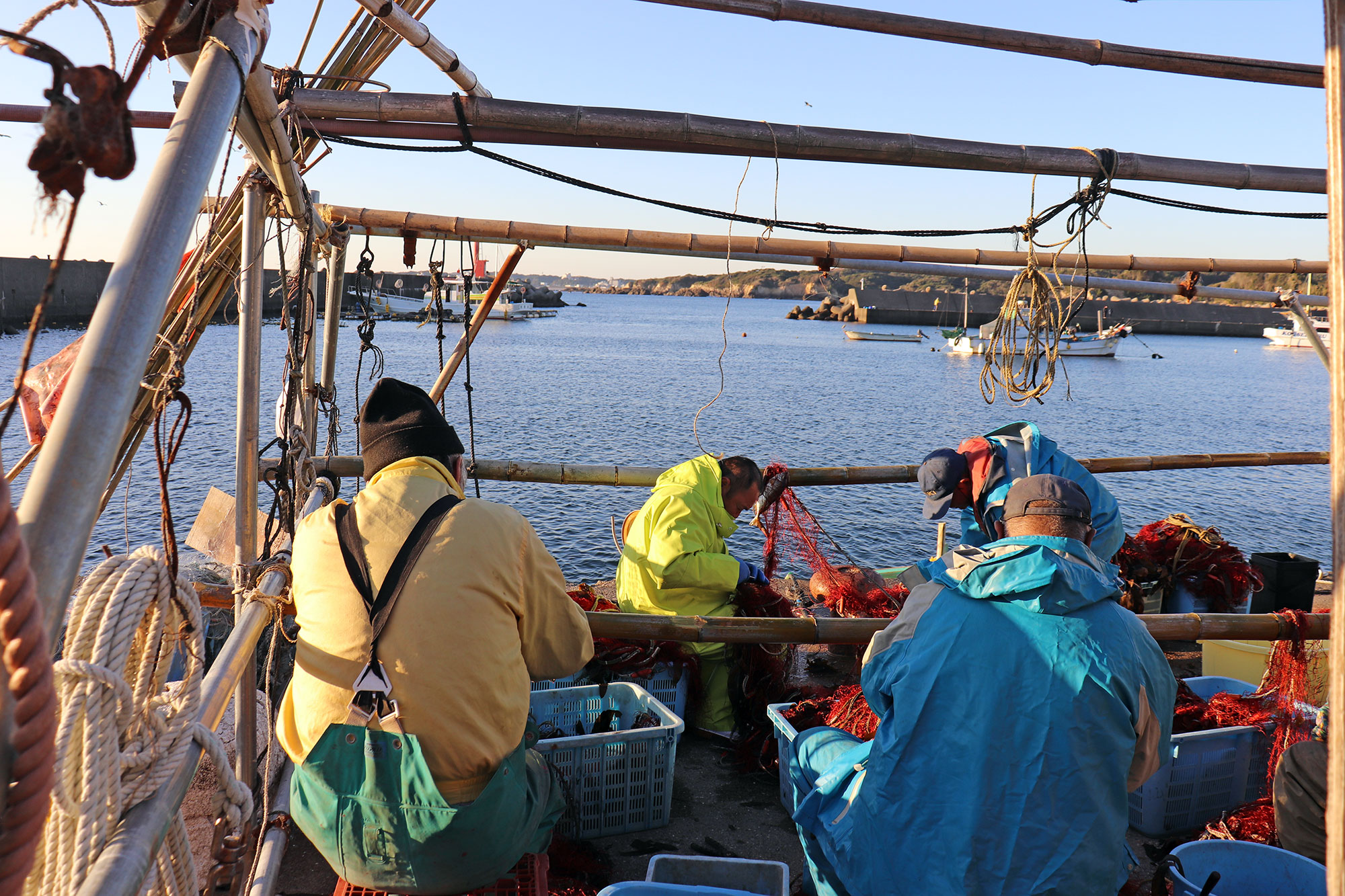 海老網漁に勤しむ漁師たち